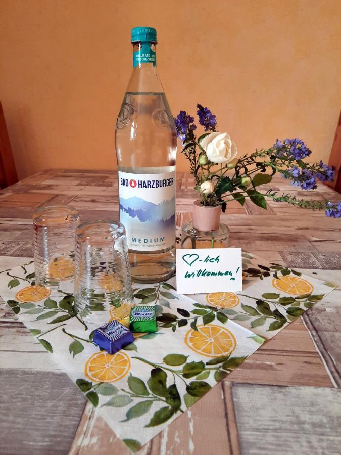 Ferienwohnung Zur Alten Post Lützen Екстериор снимка